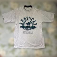 激レア　tsi 90s USA製　ヴィンテージTシャツ　スーベニア　古着のサムネイル