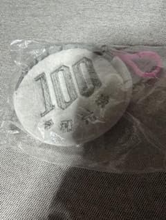 100円玉専用ポーチ 令和元年 AMUSE アミューズ コインケース
