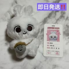 SEVENTEEN ジョンハン マスター 10cm ぬいぐるみ seventeenぬいぐるみ ジョンハン 10センチ マスター 正規品「327