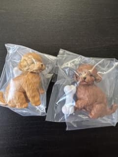 カプセルアニアのサムネイル