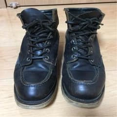 Redwing アイリッシュセッターのサムネイル