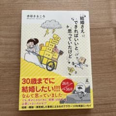 結婚さえできればいいと思っていたけどのサムネイル