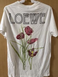 LOEWE Tシャツ ボタニカル柄 ホワイト LOEWE Tシャツ ボタニカル柄 ホワイト - メルカリ