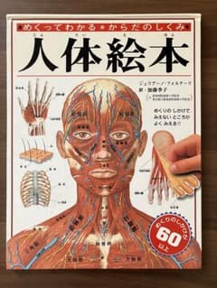 hikari☆さん専用★人体絵本★めくってわかるからだのしくみ★骨筋肉血管のサムネイル