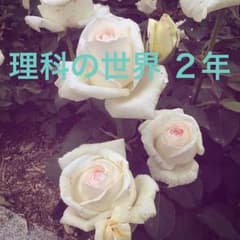 新版 理科の世界 ２年生のサムネイル