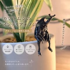 真鍮 カブトムシ オブジェ 置物 ブラス 昆虫 インテリア 縁起物 装飾