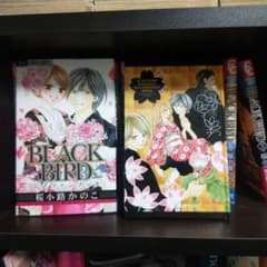 BLACK BIRD 全巻+メモリアルイラストレーションブック+公式ファンブックのサムネイル