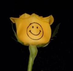 BIGBANG ＆同窓生のサムネイル