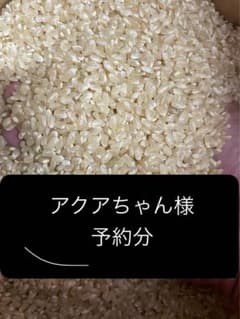 アクアちゃん様　予約分　魚沼、姫のサムネイル