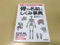 ぜんぶわかる骨の名前としくみ事典 : 部位別にわかりやすくビジュアル解説のサムネイル