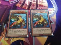 遊戯王　霞の谷の巨神鳥　dtレア2枚のサムネイル
