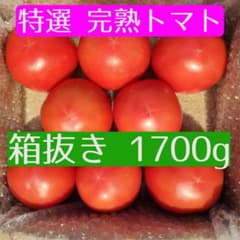 スターマーク付き★完熟トマトのサムネイル