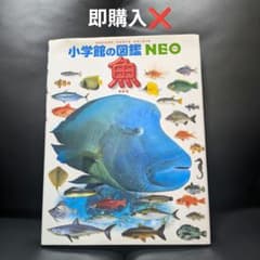 小学館の図鑑NEO　魚　1冊