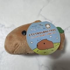 카피바라씨 굉장히 오산포 카피바라씨 봉제인형