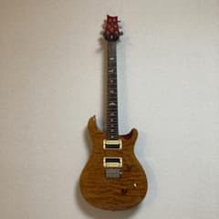 PRS SE custom24のサムネイル