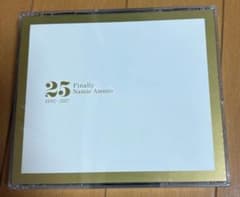 25 Finally Namie Amuro 1992-2017のサムネイル