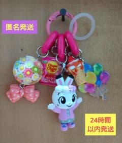 자라 자라 키 체인 메지 루시 매력 핑크 004