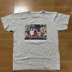 Disney 白雪姫 Tシャツ グレーのサムネイル
