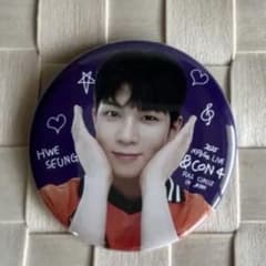 Nflying フェスン　缶バッジのサムネイル