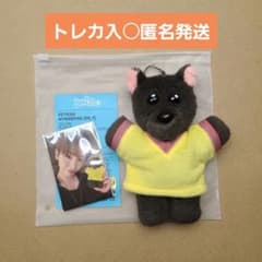 BOYNEXTDOOR ボネクド ジェヒョンぬいぐるみ キーリング ボネクド BOYNEXTDOOR ジェヒョン ぬいぐるみキーリング - メルカリ
