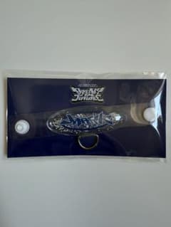 NCT DREAM 드리쇼 4 fanlight accessory MARK