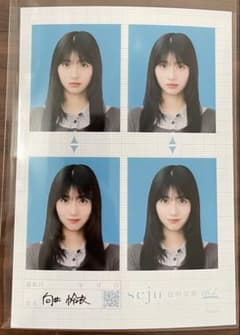 seju 証明写真vol.2 向井怜衣のサムネイル