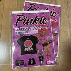 Pinkie 다림질 인쇄 시트 흑・농색 원단용 클래식 10장들이×2