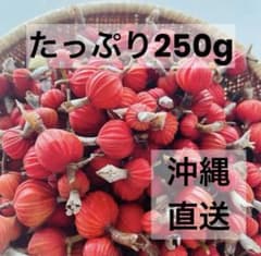 やんばる産！オーガニック♡鬼の様な赤さ☆月桃の実♡約250g以上のサムネイル