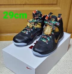 NIKE LEBRON 9 レブロン 29cm Watch The Throneのサムネイル