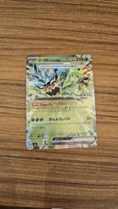 オーガポン みどりのめんex RRのサムネイル