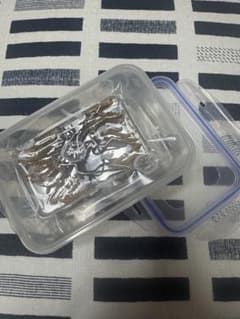 冬虫夏草 5g×2袋セットのサムネイル