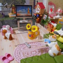 リサ様 専用♡のサムネイル