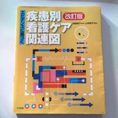 エビデンスに基づく疾患別看護ケア関連図のサムネイル