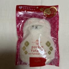 お手軽サイズの湯たんぽのサムネイル