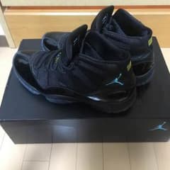 air jordan 11 gamma blue 31cm us13のサムネイル