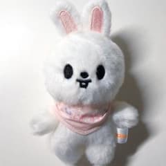 美品中古【匿名】Stray Kids スキズ リービット 10cmぬい - メルカリ