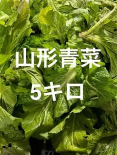 山形青菜　5キロのサムネイル