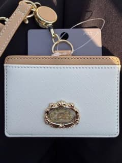 ポケパークカントー PoKePARK KANTO 限定 イーブイ パスケース - メルカリ