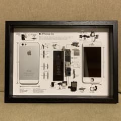 iPhone5s  標本アート　自作　ガジェアートのサムネイル