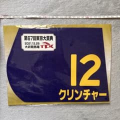 第67回東京大賞典 出走馬ゼッケン クリンチャーのサムネイル