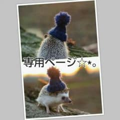 【♡ゆーちゃむ♡様 専用出品】のサムネイル