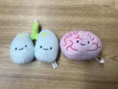 ⭐️おまけ付き⭐️にっこりーノ　体のぬいぐるみ　2種　脳みそ・肺のサムネイル