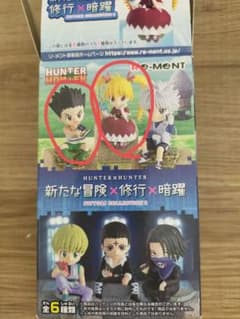 【超超超値下げ】HUNTER×HUNTER 新たな冒険×修行×暗躍　ゴン、ビスケのサムネイル