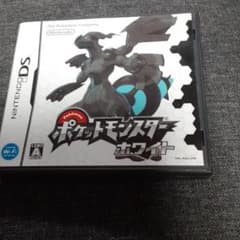 任天堂DSポケットモンスターホワイトのサムネイル