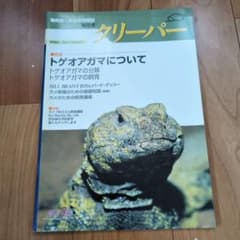 クリーパー 創刊3号 爬虫類・両生類情報誌 2000年 3号 - メルカリ