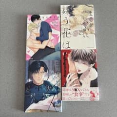 BLコミック 4冊まとめ売り 【70】 - メルカリ