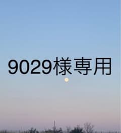専用のサムネイル