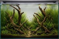 一点物天然流木 アクアリウム 水草水槽 爬虫類 両生類 テラリウム インテリアのサムネイル