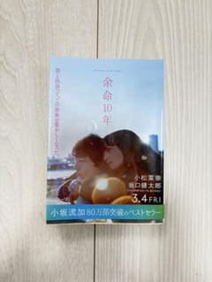 余命10年 小坂流加 文芸社文庫のサムネイル