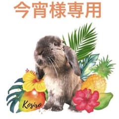 今宵様専用乾燥青パパイヤのサムネイル